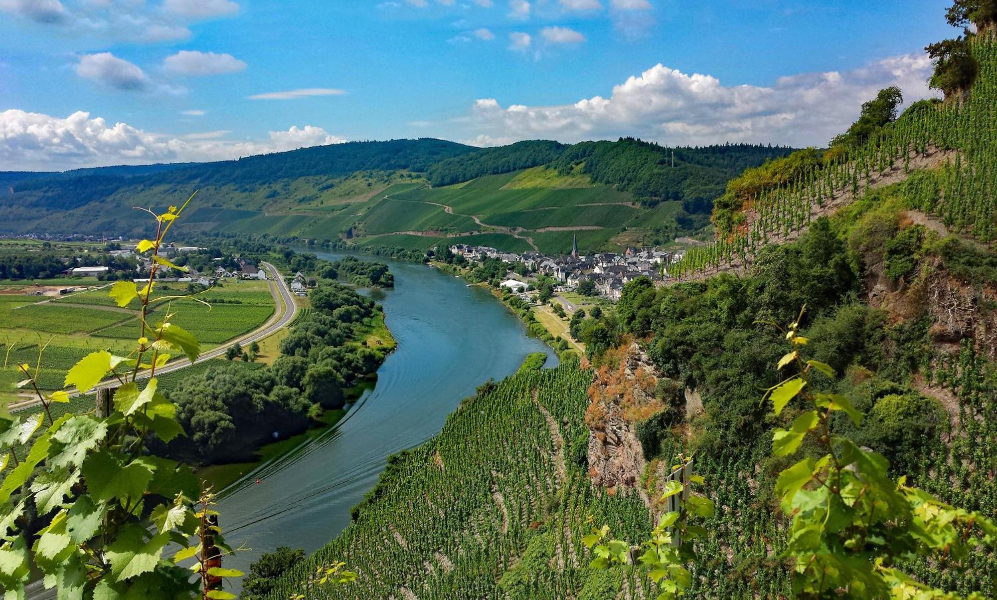 Weingut / Gaestehaus Gerlach Ürzig Esterno foto