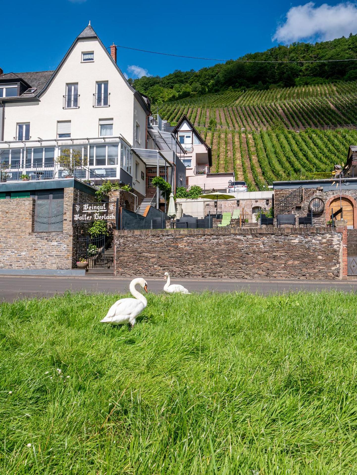 Weingut / Gaestehaus Gerlach Ürzig Esterno foto